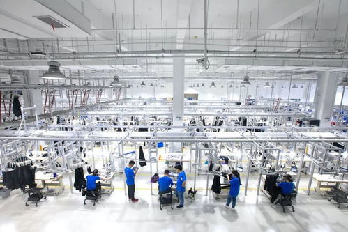 為什么時(shí)尚服裝行業(yè)需要程序員